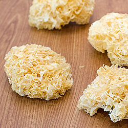 Snow Fungus - Recipe photo by noobcook