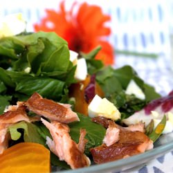 Hot-Smoked Arctic Char Salad - Recipe photo by nourishnetwork