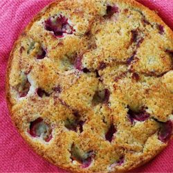 Plum Torte - Recipe photo by TheNaptimeChef