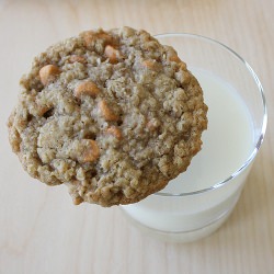 Butterscotch Oatmeal Cookies - Recipe photo by eatatallies