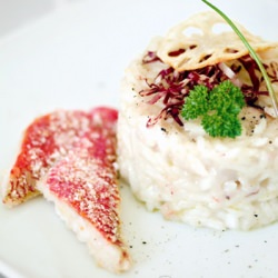 Mullet and Lotus Risotto - Recipe photo by maky