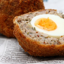 Scotch Eggs - Recipe photo by righteye