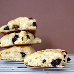 Ricotta Chocolate Chips Scones - Recipe photo by sarabonetti