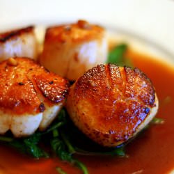 Seared Scallops - Recipe photo by CulinaryStudio