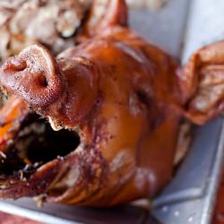 Balinese Suckling Pig - Recipe photo by yummy supper