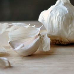 Chicken Lettuce Wraps - Recipe photo by kristinannbeck