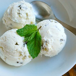 Mint Chocolate Chip Ice Cream - Recipe photo by asweetpeachef