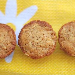 Apple Snack Muffins - Recipe photo by TheNaptimeChef