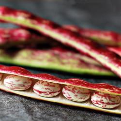 Beautiful Freaky Vegetables - Recipe photo by thingswemake