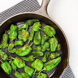Fried Padron Peppers - Recipe photo by junbelen