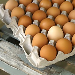 Hard-Boiled Eggs or Hard-Cooked Egg - Recipe photo by alacarte