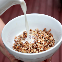 Chocolate Peanut Butter Granola - Recipe photo by moonlitkichen