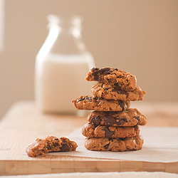 Flourless Cookies - Recipe photo by dandysugar