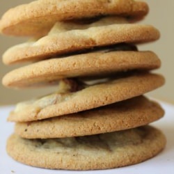 Soft and Chewy Chocolate Cookies - Recipe photo by milkncookiezzz