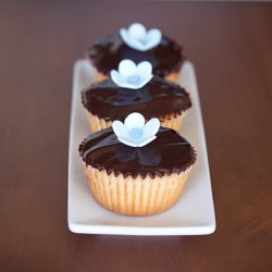 Vanilla Bean Cupcakes - Recipe photo by kirbie