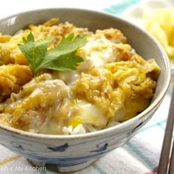 Tempura Don - Recipe photo by mykitchen