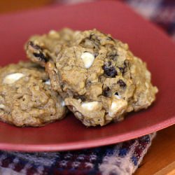 Pumpkin Oatmeal Cookies - Recipe photo by theculinarycouple