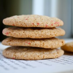 Spiced Ginger Cookies - Recipe photo by lapetitefrog