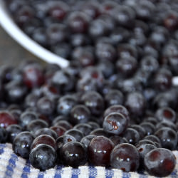 Brandy Infused Concord grapes - Recipe photo by allfourburners