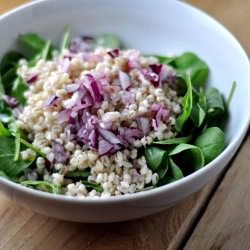 Fresh Barley and Arugula Salad - Recipe photo by sproutandpea