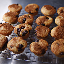 Chocolate Chip Muffins - Recipe photo by bradleykitchen