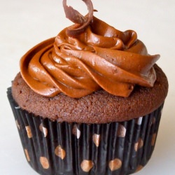 Double Chocolate Cupcakes - Recipe photo by megpow