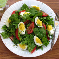 Tomato Spinach Salad - Recipe photo by Dianasaur