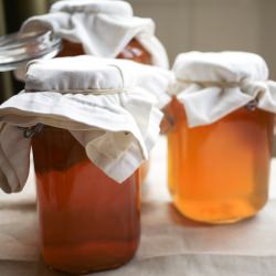 Kombucha - Recipe photo by blueeggkitchen
