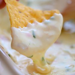 Queso Blanco - Recipe photo by Seeded at the Table