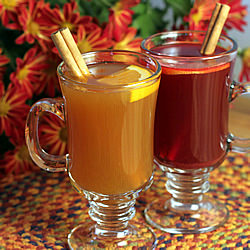 Spiced Hot Drink Mix - Recipe photo by theyummylife