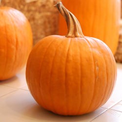Pumpkin Pie - Recipe photo by theartofdoingstuff