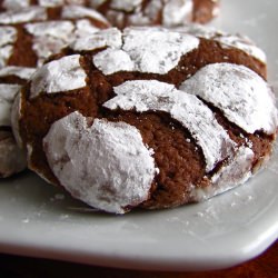 Chocolate Crinkle Cookies - Recipe photo by sugarduchess
