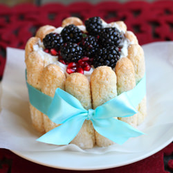 Homemade Ladyfingers and Charlotte - Recipe photo by TheCilantropist