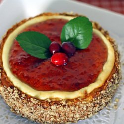 Savory Cranberry Cheesecake - Recipe photo by Megan