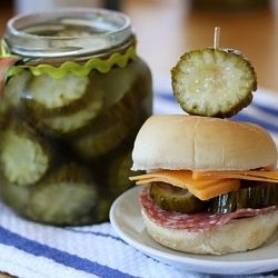 Homemade Pickles - Recipe photo by radmegan
