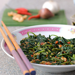 Sambal Kangkong - Recipe photo by noobcook
