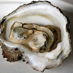 Oyster Feed - Recipe photo by theculinarycouple