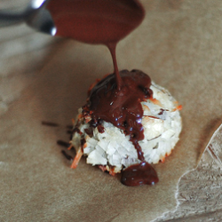Cranberry Almond Coconut Macaroons - Recipe photo by The Sophisticated Gourmet