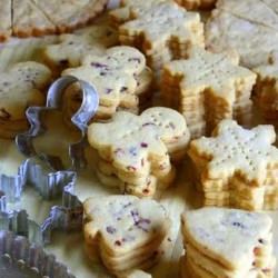 Cinnamon Cranberry Shortbread - Recipe photo by JaneAlice