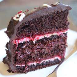 Chocolate and Cranberry Layer Cake - Recipe photo by TheCilantropist
