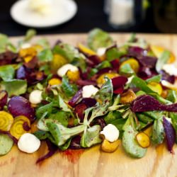 Textures of Heide Garden Beetroot - Recipe photo by Chanel11