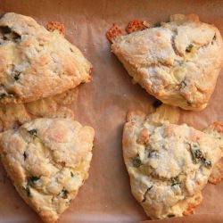 Jalapeno Pepper Jack Scones - Recipe photo by joythebaker