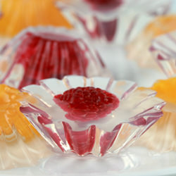Agar Agar or Kanten Fruit Jellies - Recipe photo by foodlibrarian