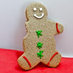 Gingerbread Man - Recipe photo by kitchenminions