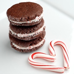Chocolate Candy Cane Cookies - Recipe photo by dbrush