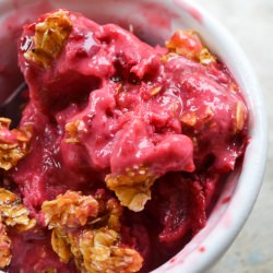 Sour Cherry Oatmeal Praline Froyo - Recipe photo by theapprentice