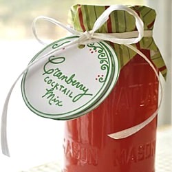 Cranberry Cocktail Mixer - Recipe photo by whiskwriterepeat
