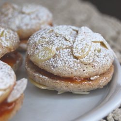 Ladurée Abricotines - Recipe photo by hermione