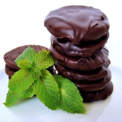 Homemade Thin Mints - Recipe photo by ChristaRose