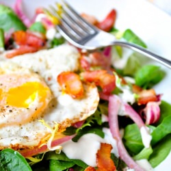 Winter Mache Salad with Crispy Egg - Recipe photo by okiedokieartichokie